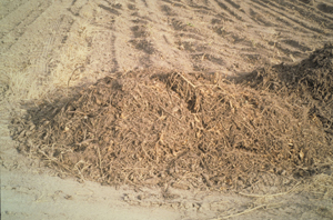 Figure 9. Tare soils piled in fields after harvest