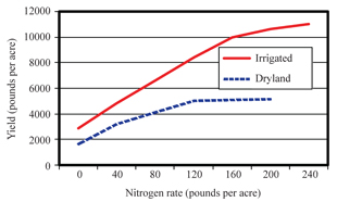 Figure 2. Typical grass yield response to nitrogen fertilizer (irrigated is statewide; dryland is for eastern Nebraska).