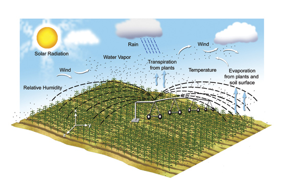 Figure 1. Evaporation and transpiration and the factors that impact these processes in a center pivot-irrigated corn field.