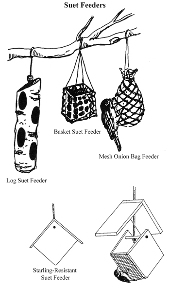 Figure 4. Suet feeders come in a variety of sizes and styles.
