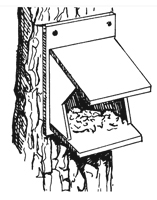 Figure 3. Nest bracket for robins and swallows.