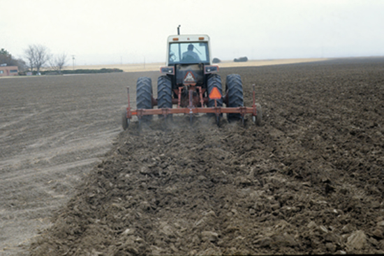 Figure 1. Bare field roughened with 6-inch wide shovels spaced 30 inches apart. 