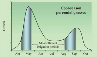 Figure 4. Typical growth pattern of irrigated cool-season perennial grasses. Shaded bars represent rapid growth phases for these grasses and periods of efficient irrigation.