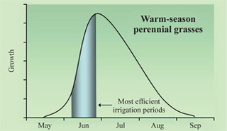 Figure 5. Typical growth pattern of warm-season perennial grasses. Shaded bars represent rapid growth phases for these grasses and periods of efficient irrigation.
