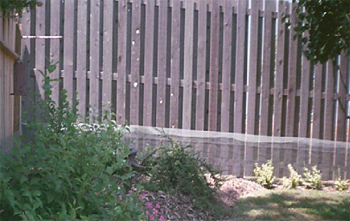 Figure 5. A rabbit fence added to an existing fence. 
