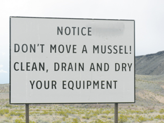 Figure 3. Sign from Lake Mead, Nev., which is infested with quagga mussels.