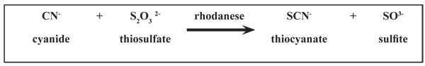 Figure 3. Rhodanese-catalyzed reaction between cyanide and thiosulfate to detoxify cyanide.