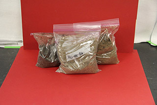 Figure 7. Soil samples in labeled, sealable plastic bags. 