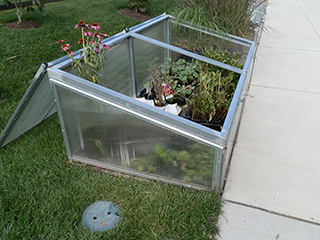 Figure 1. A commercially manufactured cold frame with manual opening top sits next to a homeowner’s patio. 