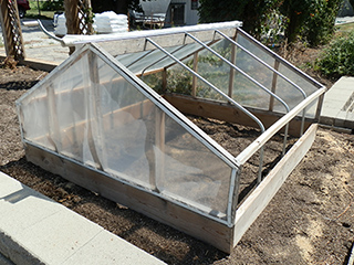 Figure 2. A homebuilt cold frame using wood and shaped metal tubing with a greenhouse grade polyethylene cover that can be rolled up during warm periods.