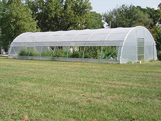 Figure 4. A high tunnel with roll-up sidewalls used for production of vegetable crops. 