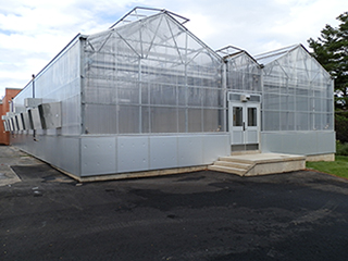 Figure 7. A large production greenhouse with corrugated polycarbonate covering and insulated curtain wall. 