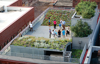 Figure 2. Retrofitted green roof at American Society of Landscape Architects (ASLA) Headquarters, Washington, D.C.