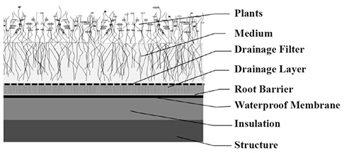 Figure 3. Green roof cross section showing typical layers