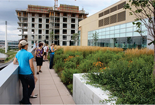 Figure 4. Gallup Building green roof, Omaha, Nebr.