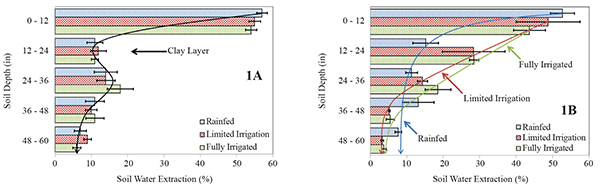 Figure 1. Average soil-water extraction percentages [and standard deviations (horizontal bars)] of a corn cropping system in a silt-loam soil for individual soil depths (12-inch increments) under full irrigation, limited irrigation (75 percent of full irrigation), and rainfed conditions at the University of Nebraska–Lincoln South Central Agricultural Laboratory (SCAL) near Clay Center, Nebraska in 2011 (A) and 2012 (B).