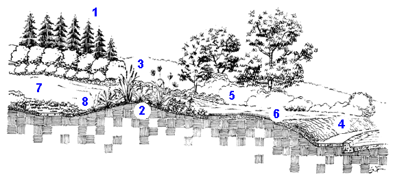 Illustrated Sustainable Design Principles in a Residential Landscape, Part A 