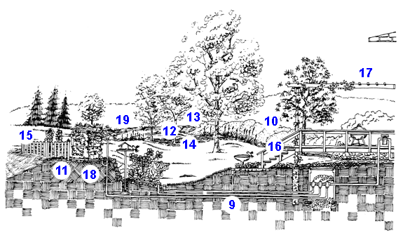Illustrated Sustainable Design Principles in a Residential Landscape, Part B 