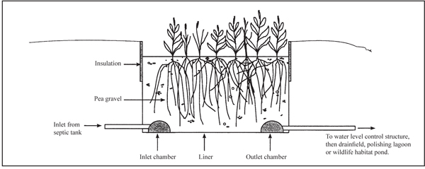 Figure 2. Constructed wetland cell. 