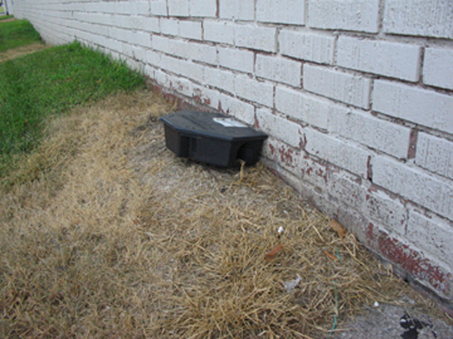 Figure 4. Rat-sized bait station properly placed against the exterior wall of a building. 