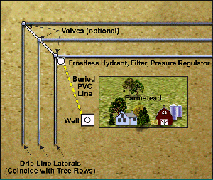 Figure 2. General layout of a windbreak drip irrigation system.