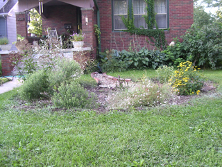 Figure 1. Residential rain garden 