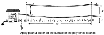 Figure 10.	Recommended poly-tape or poly-twine peanut butter electric fence (Image courtesy of ICWDM). 
