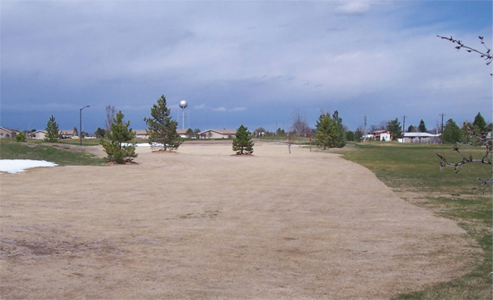 Figure 2. Dormant buffalograss golf course rough-sprayed with glyphosate (Roundup) to control cool-season grasses. Notice clean line created between buffalograss rough and Kentucky bluegrass. (Photo courtesy city of Gering, Ron Ernst and Tom Walsch.)