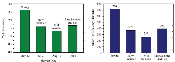 Figure 3. Seasonal yield of irrigated cool-season perennial grasses (left) and water-use efficiency (pound forage/inch of water) (right) during those seasonal periods, North Platte.