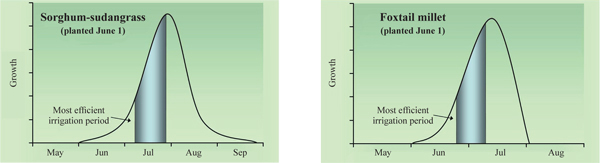 Figure 6. Typical growth pattern of warm-season annual grasses. Shaded bars represent rapid growth phases for these grasses and periods of efficient irrigation when planted at the indicated dates.