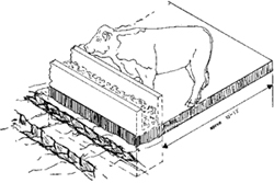 Figure 7. Rats cannot live under or around feed bunks that do not provide shelter.