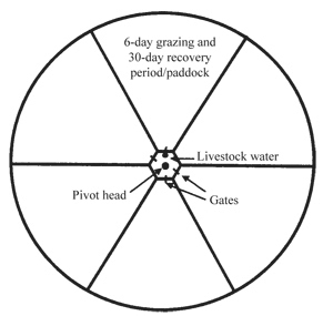 Figure 1. Example of the paddock layout for a six-pasture rotational grazing system under a center pivot irrigation system. 