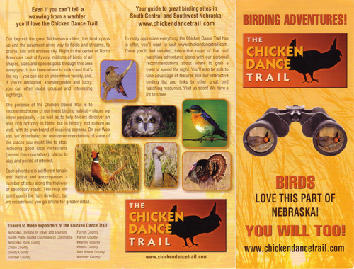 Figure 2. An example of a well-made brochure.