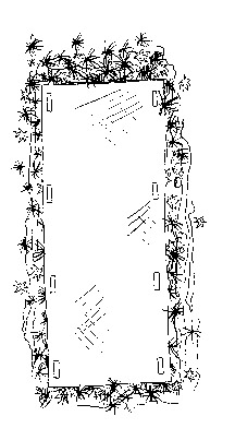 Figure 1. Topview of a bottom barrier with plants on all sides. 