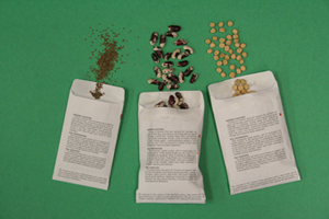 Figure 1. Choose high-quality seed adapted to Nebraska’s growing conditions for your garden. 