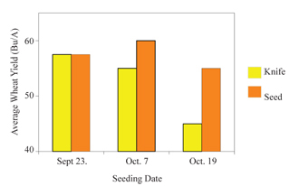 Figure 2. Effect of seedling date on performance of seed and dual placement methods of P application at three locations and seeding dates.