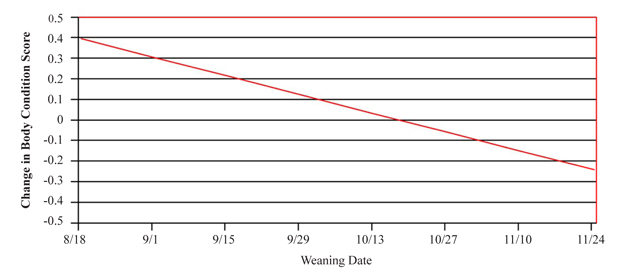 Figure 1. Effect of weaning date on change in cow body condition score. 