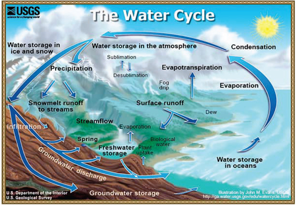 Figure 1. The hydrologic cycle (USGS).