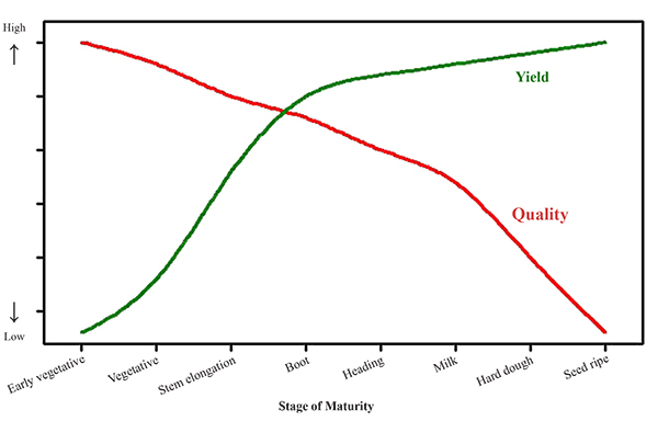 Figure 1. Generalized relationship between forage and forage quality as affected by stage of maturity.
