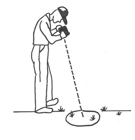 Figure 3. When taking a Photo Plot, look straight down at the ground. Try to keep your shadow and feet out of the picture. Optional: place your hoop or frame in the picture for size reference.