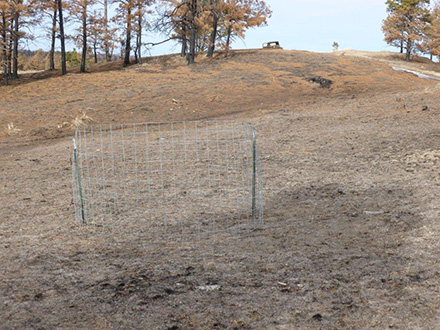 Figure 5. A simple exclosure built to monitor the recovery of a burned pasture.
