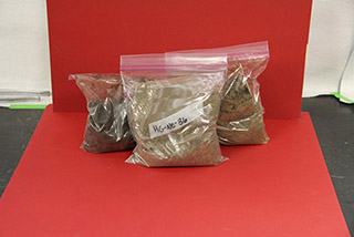 Figure 6. Soil samples in labeled, sealable plastic bags.
