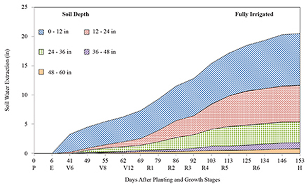 Figure 2. Cumulative individual soil layer water extraction amounts (inches) with 12-inch increments down to 60 inches with respect to days after planting (DAP) and corn growth and development stages in 2012, under non-stressed water and nutrient conditions. 