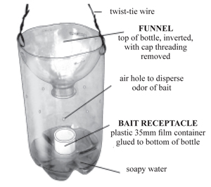 Figure 2. Disposable yellowjacket trap made from a 2-liter pop bottle. 