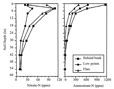 Figure 1. Nitrogen concentration in soil vs. depth beneath the manure pack of four active beef feedlots in Nebraska. 