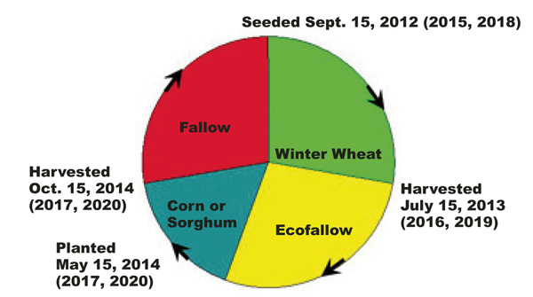 Figure 1. The ecofallow and fallow periods in the three-year ecofarming rotation. 