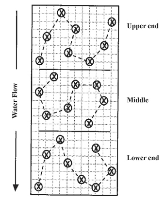 Figure 1. Dividing and sampling a furrow-irrigated field.
