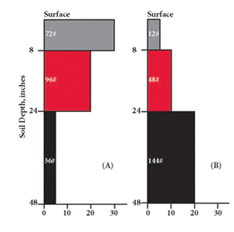 Figure 4. Two potential patterns of vertical distribution of nitrate-N in the root zone. Both contain 204 lb nitrate-N/acre. 