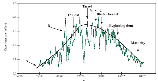 Figure 1.	Long-term daily average and individual year corn water use with select growth stages. 