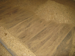 Figure 1. Minimum maintenance is required on a wood plank floor.